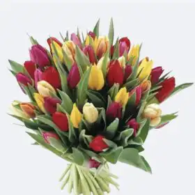 Hand-Tied Rainbow Tulips Bouquet