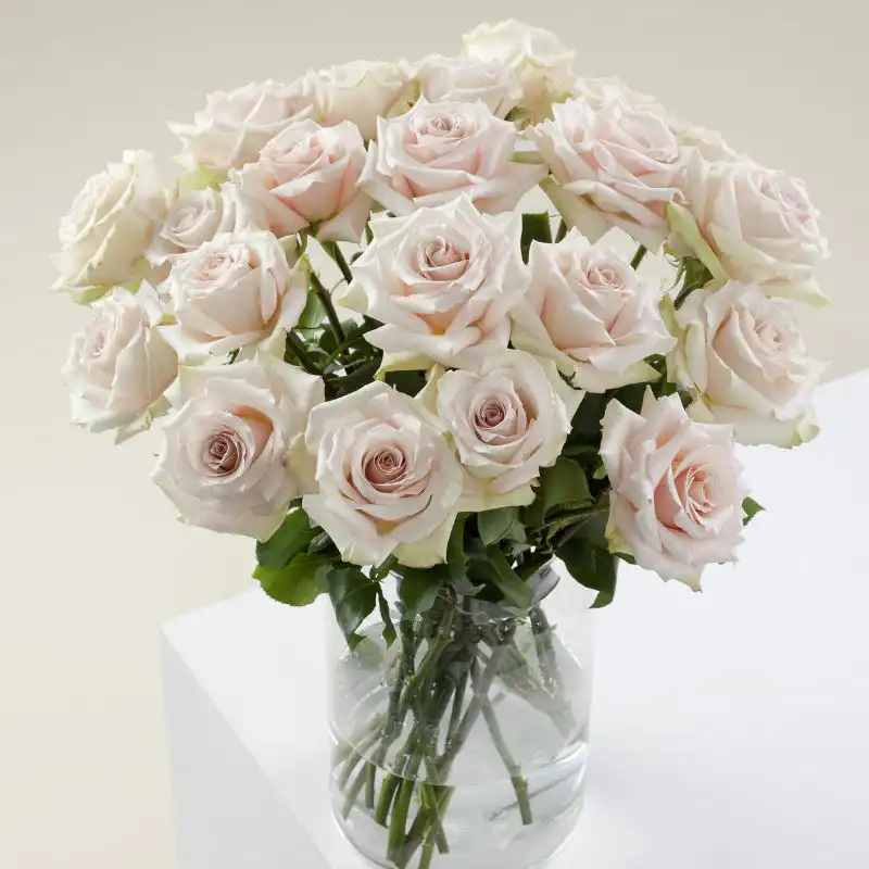 Romantic Quicksand Pink Roses Bouquet 1 Blush Pink Rose Bouquet