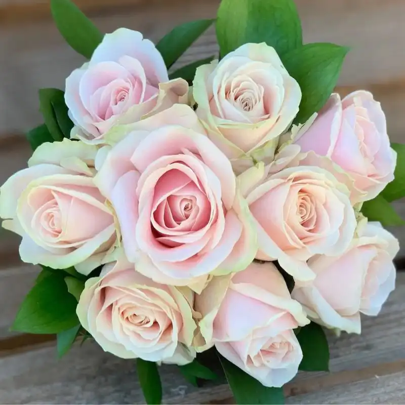 Romantic Quicksand Pink Roses Bouquet 2 Blush Pink Rose Bouquet