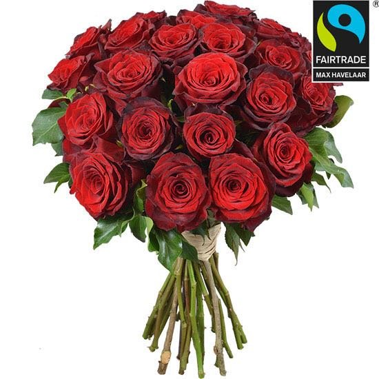 Luxury Rose Delivery - Save 50% On Flowers