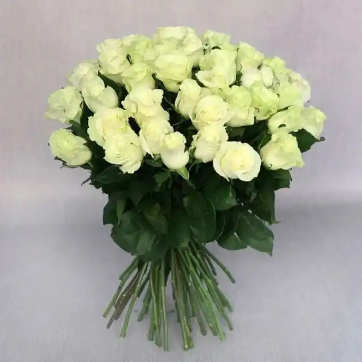 Luxury White Rose Bouquet 1 A hand-tied luxury white rose bouquet featuring fresh premium blooms wrapped in elegant florist paper.