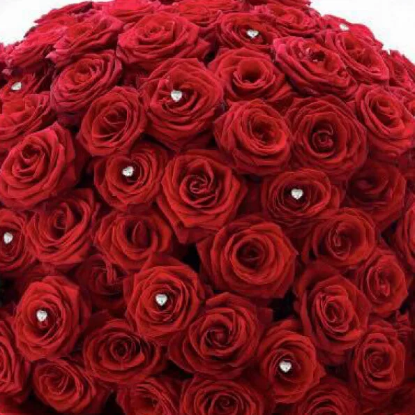 Luxurious Bouquet of 100 Red Roses Same Day Delivery. 100 Red Roses Bouquet