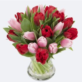 Vibrant Pink and Red Tulip Bouquet (Vase Ready)