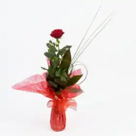 The Crimson Solitaire