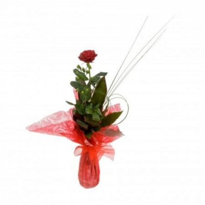 Luxury Beautiful single red rose, Luxury One /1 kisses Red Roses bouquet next day delivery 10% off