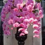 Purple orchid wedding arrangement