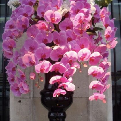 Luxury Phalaenopsis Orchid Flower Bouquet for Weddings