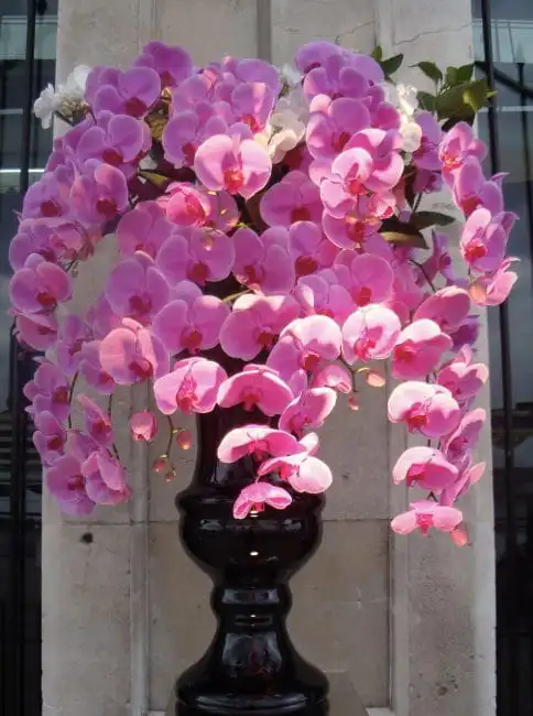 Purple orchid wedding arrangement 1 Luxury Phalaenopsis Orchid Flower Bouquet for Weddings