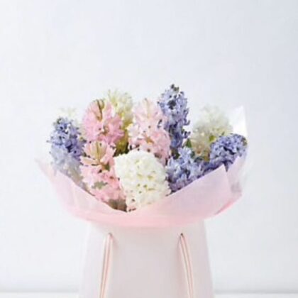 Cheap Price Hyacinth Violet, White, and Blue Flowers Bouquet Gift Bag Delivery