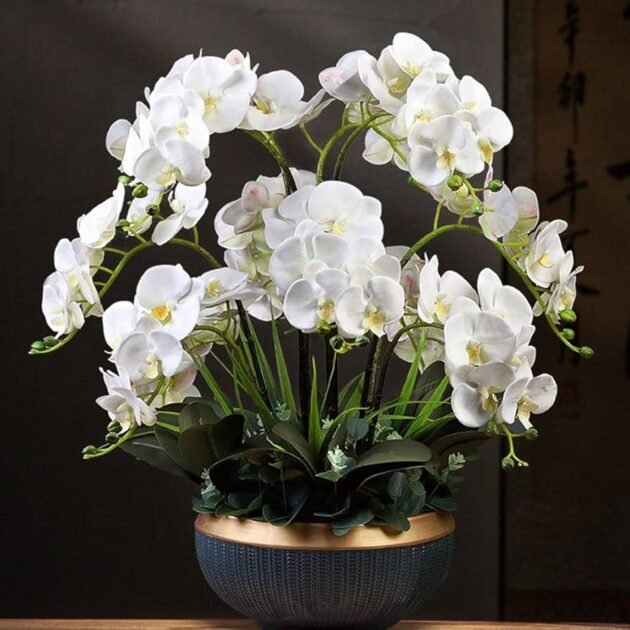 White Phalaenopsis Orchid Planter