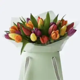 Multicolored tulip bouquet Gift bag