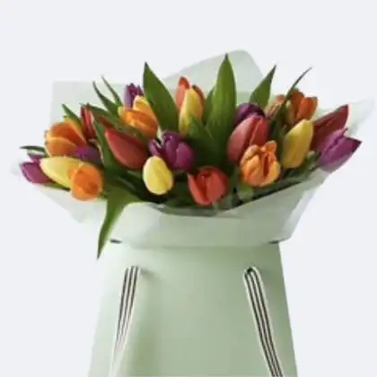 Tulip Bouquet Gift Bag featuring a vibrant multicoloured assortment, presented in an elegant carrying bag for gifting.