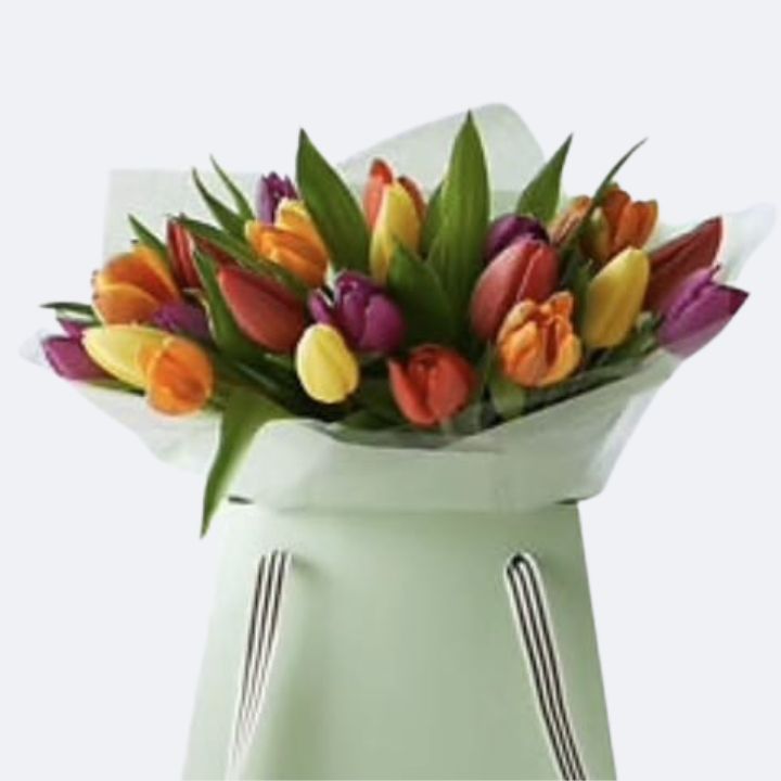 Multicolored tulip bouquet Gift bag 1 Tulip Bouquet Gift Bag featuring a vibrant multicoloured assortment, presented in an elegant carrying bag for gifting.