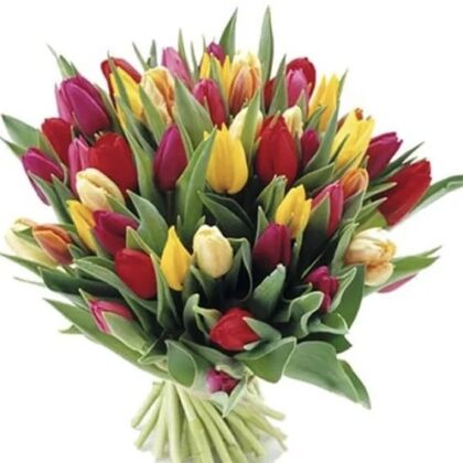 Tulip Red and Yellow Flower mix bouquet Delivery Next Day