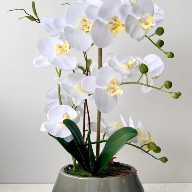 White Phalaenopsis Orchid Arrangement - Image 2