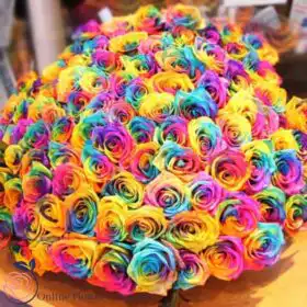 Luxury Rainbow Roses in Hat Box