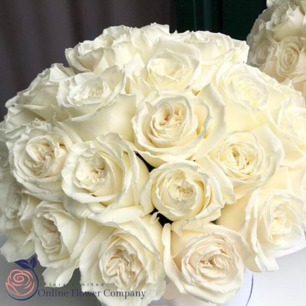 White Roses in a Box