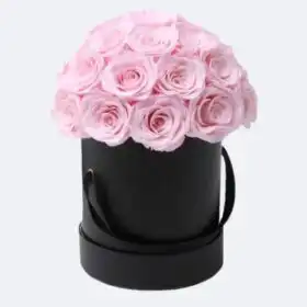 Luxury Pink Roses in Premium Hatbox