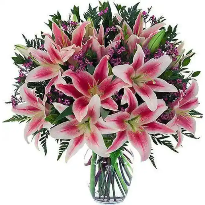 The Luxury Fragrant Stargazer Lily Bouquet 1 A hand-tied pink stargazer lily bouquet with blooming petals and green foliage in a decorative wrap.