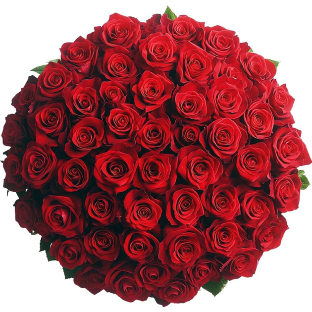 50 Red roses hat box