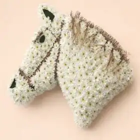 Majestic Horse Head Tribute