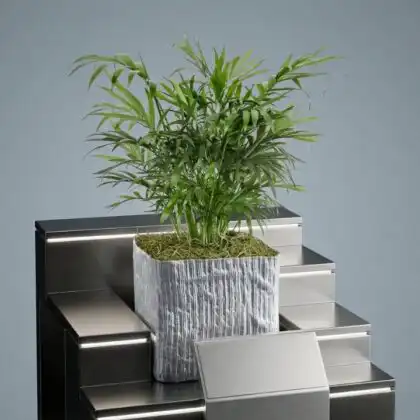 A lush green palm neanthe bella plant growing in a stylish silver pot.