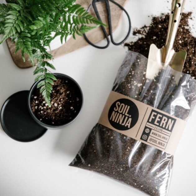 Indoor Fern Potting Soil Mix