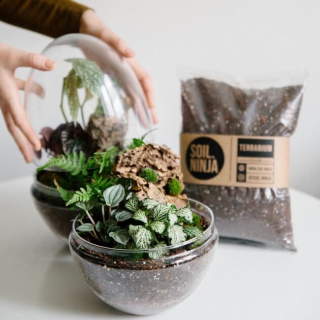 Premium Terrarium Soil Mix for Tropical Plants