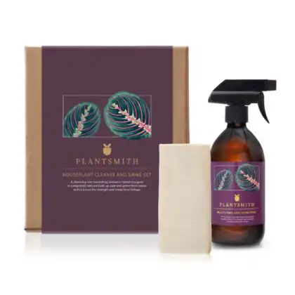 Flora Houseplant Cleanse and Shine Gift Set