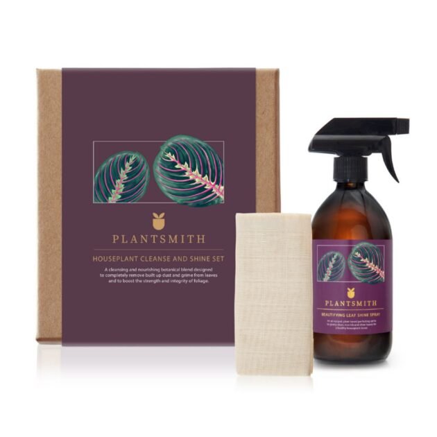 Flora Houseplant Cleanse and Shine Gift Set