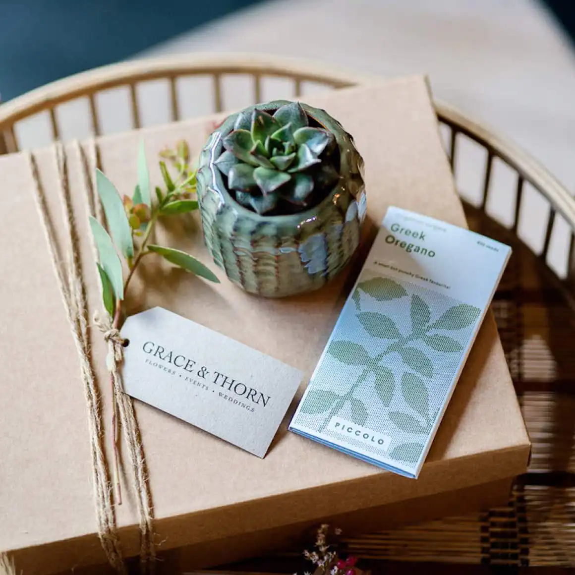 Grace and Thorn Gift Set with Succulent and Candle 1 Grace and Thorn Gift Set with Succulent and Candle