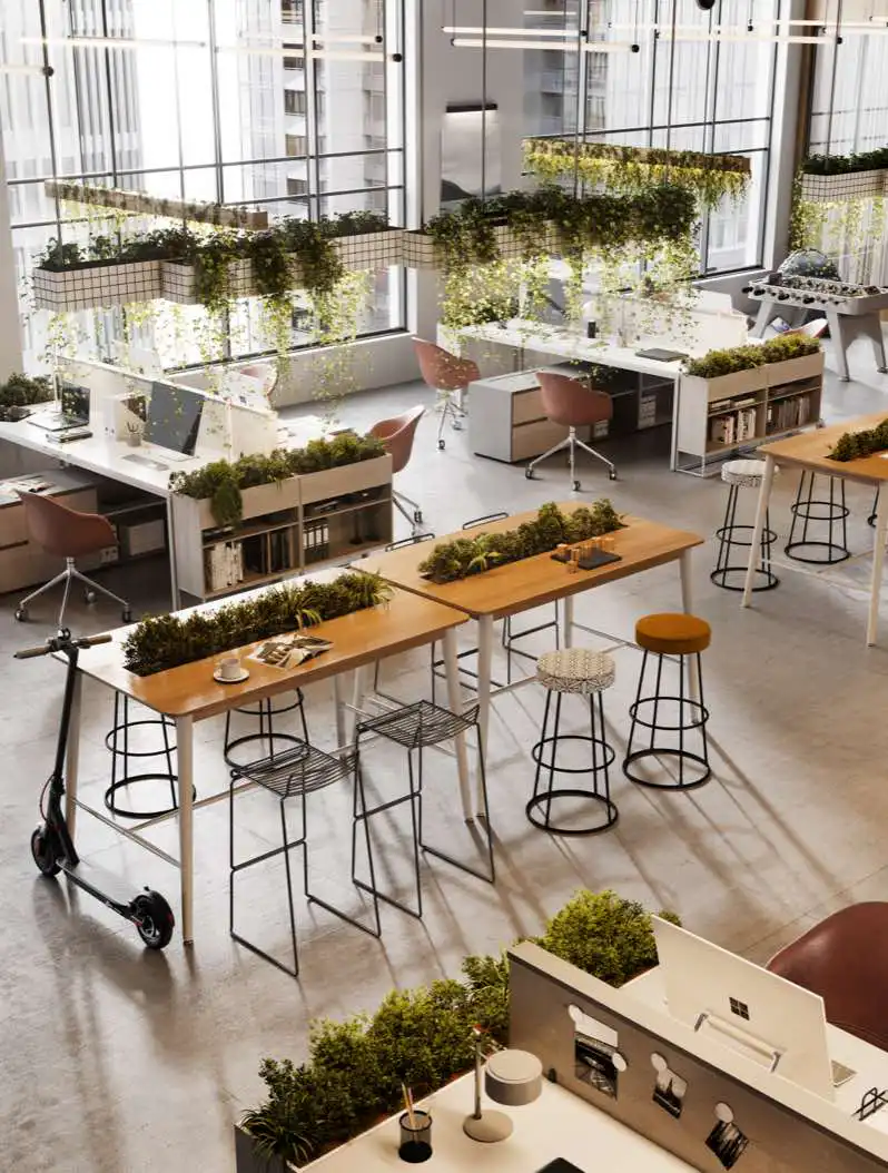 Office Plants Services