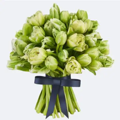 A Luxury Lime Green Parrot Tulip Bouquet with fresh organic blooms and a navy blue ribbon.