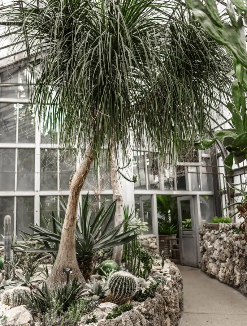 Residential Botanical Design