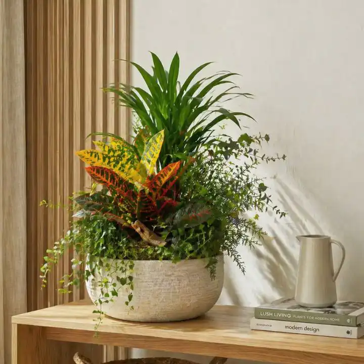 Indoor Palm & Croton Plant 1 indoor palm plants