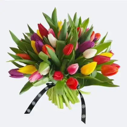 A vibrant mixed tulips bouquet featuring red, yellow, pink, and purple flowers hand-tied with a black patterned ribbon.