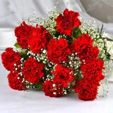 20 red carnations