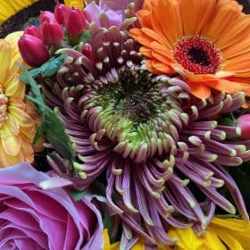 Gerbera, Chrysanthemum, Rose Mixed Flower Bouquet