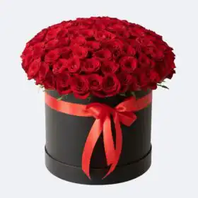 Midnight Velvet Red Rose Hatbox