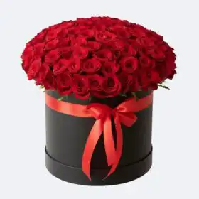 Midnight Velvet Red Rose Hatbox