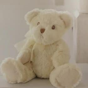 Cream Plush Teddy Bear Gift