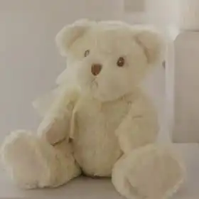 Cream Plush Teddy Bear Gift