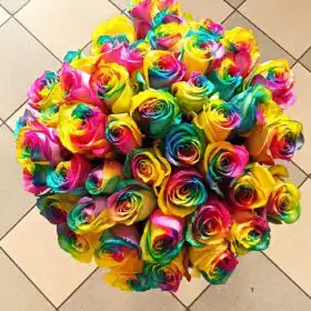 Order Special Rainbow Roses for Any Occasion