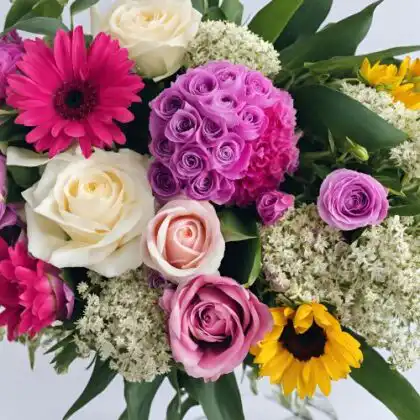 vBest Flowers for International Women's Day