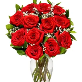 Classic Dozen Red Roses with Baby's Breath