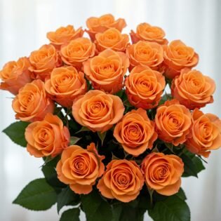 Celebrate Women's Day with 18 Vibrant Orange Roses