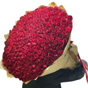 Premium 1000 Red Roses Bouquet