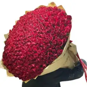 Premium 1000 Red Roses Bouquet