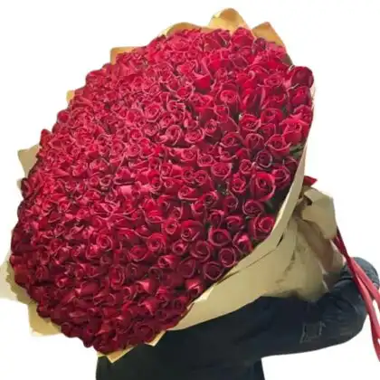 Premium 1000 Red Roses Bouquet