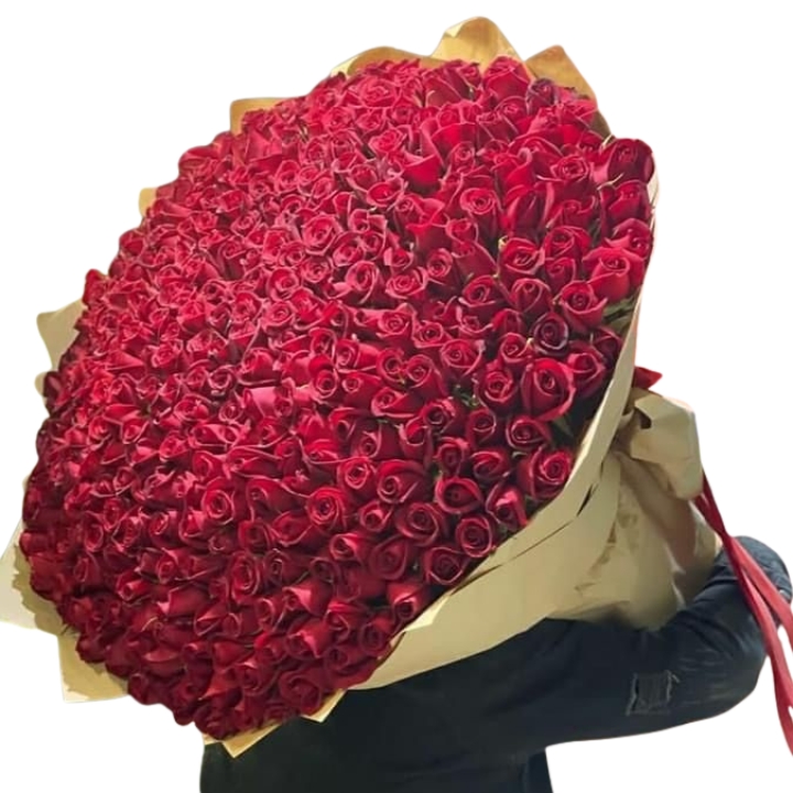 Premium 1000 Red Roses Bouquet 1 Premium 1000 Red Roses Bouquet